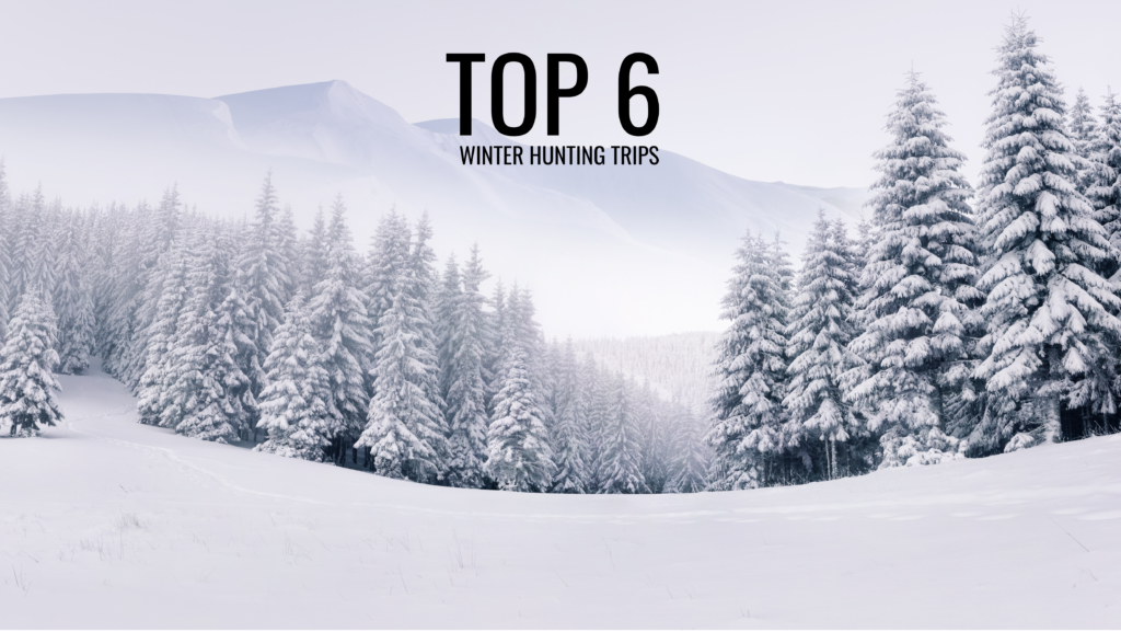 Top 6 Winter Hunting Trips
